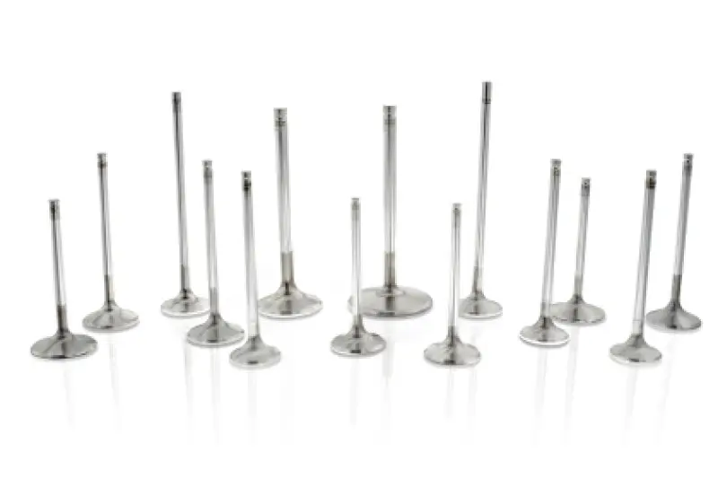 Ferrea Toyota/BMW B58 3.0L 30.1mm 4.97mm 99.15mm 19 Deg Tapr Flo STD Comp Plus Int Valve Set 12