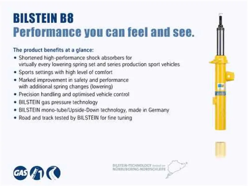 Bilstein B8 Suspension Strut Assembly 2009 Porsche 911 Targa 4 Front Right
