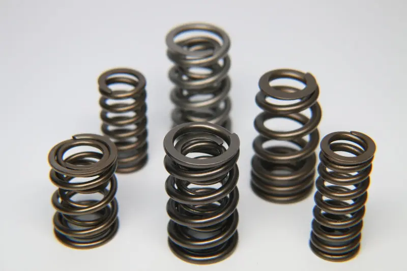 Ferrea Acura Honda K20 Chrome Silicon Dual Valve Spring Set 16