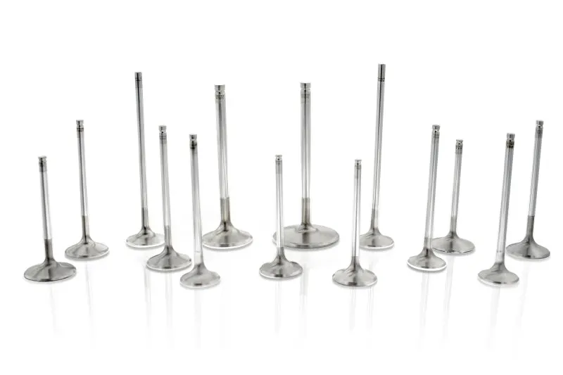 Ferrea Competition Plus Exhaust Valve Set 8 Honda F20C